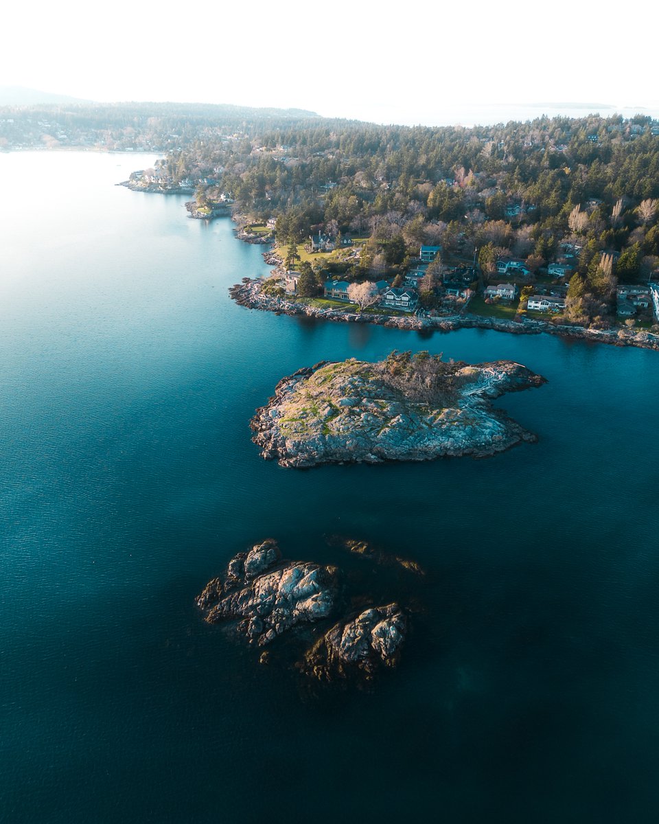 Going to start sharing more on here. Picture perfect moment from Vancouver Island.