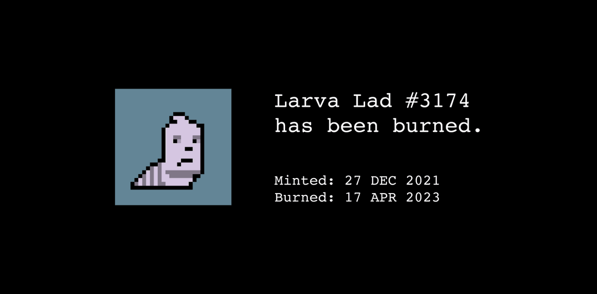 burncomputer.eth tweet media