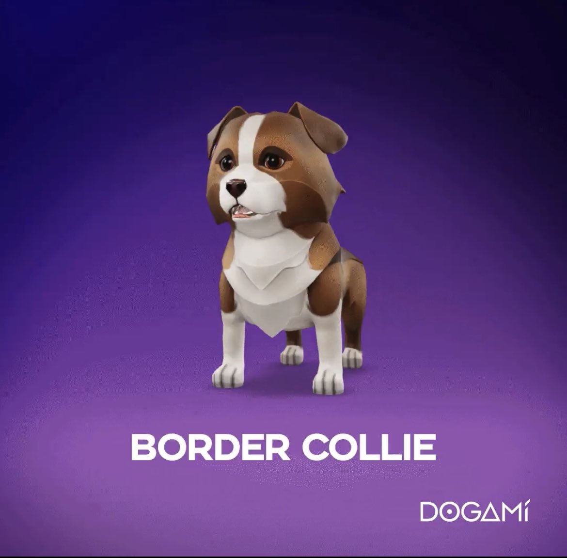 flgrm's tweet photo. @Dogami Yaaaaay le border collie 🤩🤩🤩 https://t.co/O4oSl9iEhB