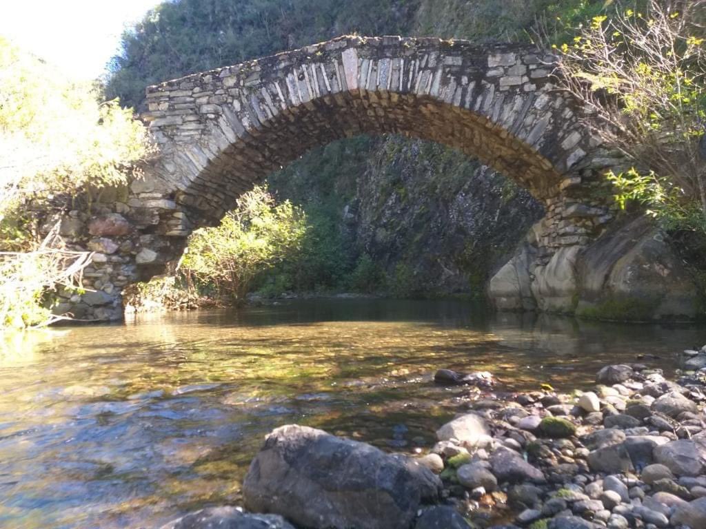 XochitlLopezS's tweet photo. San Miguel Amatlán, Oaxaca. Un hermoso lugar para relajarse y disfrutar de la naturaleza. @SECTUR_mx @SECTUR_GobOax @GobOax. https://t.co/X3atMQVYzU