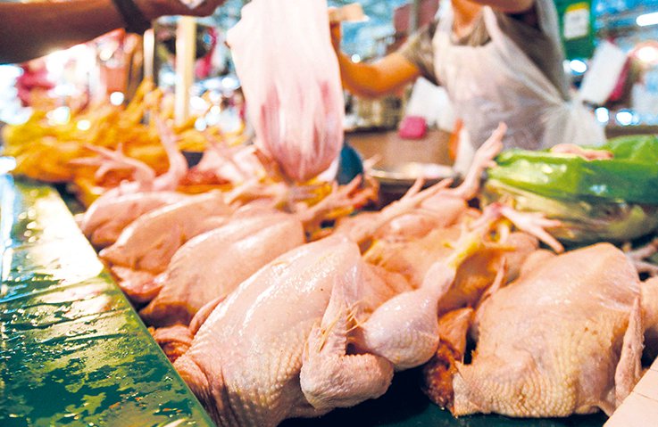 yasmin2D's tweet photo. [ MALAYSIA'S CHICKEN AND EGGS SUPPLY SUFFICIENT THROUGHOUT HARI RAYA AIDILFITRI ]  

 ( A THREAD )  

BY YASMIN NABIHAH BINTI MOHD YUSRI (2022648014) 

 #COM201 #MMC1102D #COM2012D2023 #RayaAidilfitri2023 https://t.co/IoHAUKdyWI