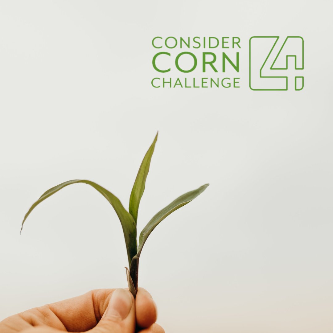 NECornBoard's tweet image. Bring your creative spin to the #ConsiderCorn Challenge IV and share your ideas for the next big #bioproduct on the horizon. There's a $250,000 prize pool available so get your entries in by June 30! Find more information at ncga.com/ConsiderCorn.