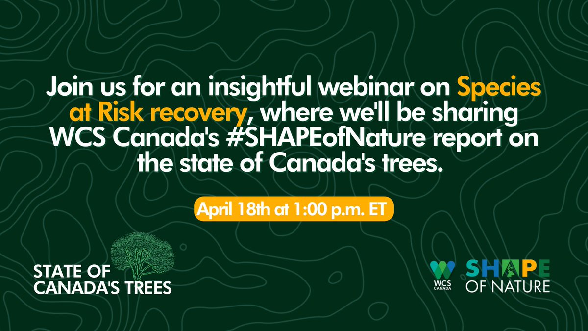 WCS_Canada's tweet photo. ๐ณ Join us for an upcoming webinar on Species at Risk recovery, where we'll be discussing the #SHAPEofNature assessment on the state of Canada's trees and what we can all do to help conserve and recover rare species! #2BillionTrees
Register here: https://t.co/6LmvxokVwu https://t.co/ifEzqMLvE0