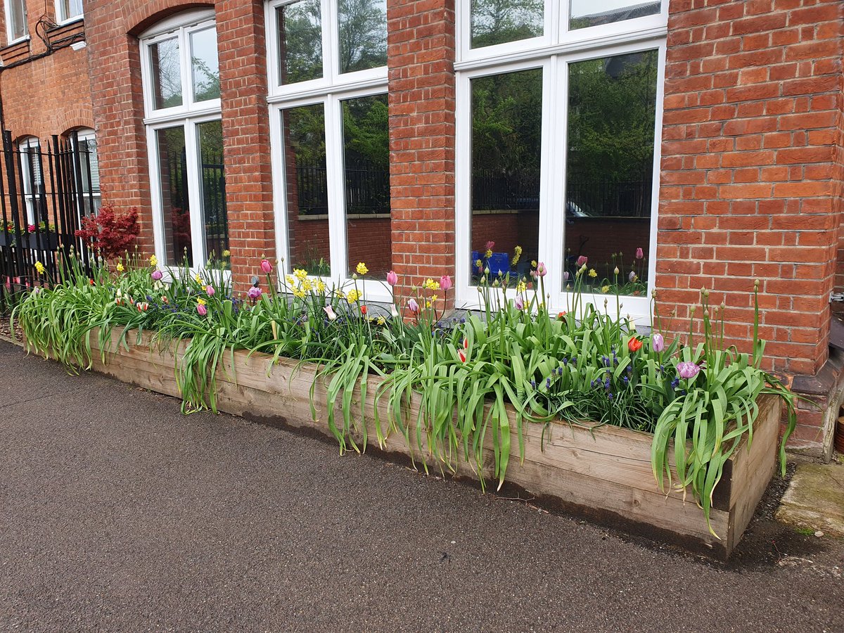 Some beautiful displays of colour all around the school thanks to Gardening Club's hard work this winter. What a welcome back for the new term! @WimbledonHigh @PeterNyssenLtd