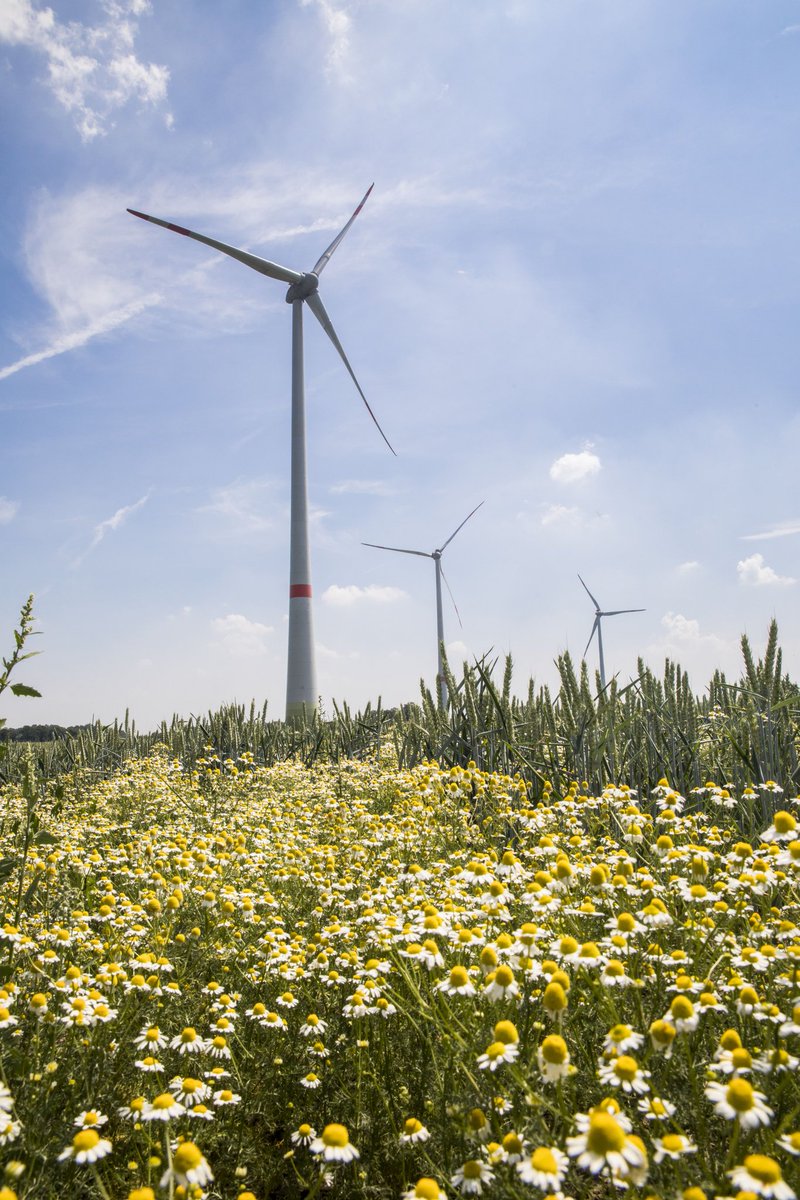 Gemeente Hellendoorn tweet media