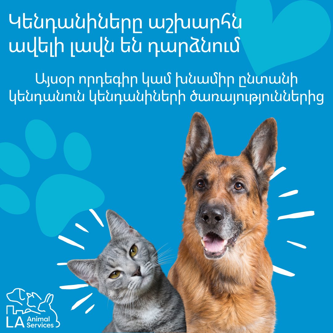 LACityPets's tweet photo. Adopt or foster a pet from LA Animal Services! Our six LA Animal Services Centers are open Tuesdays & Thursdays, from 8AM to 5 PM, and Saturdays and Sundays, from 11AM to 5PM without appointments. To view our adoptable pets, visit https://t.co/tqCgiDY8Aw #openarmschallenge https://t.co/HhWwlm2lJV