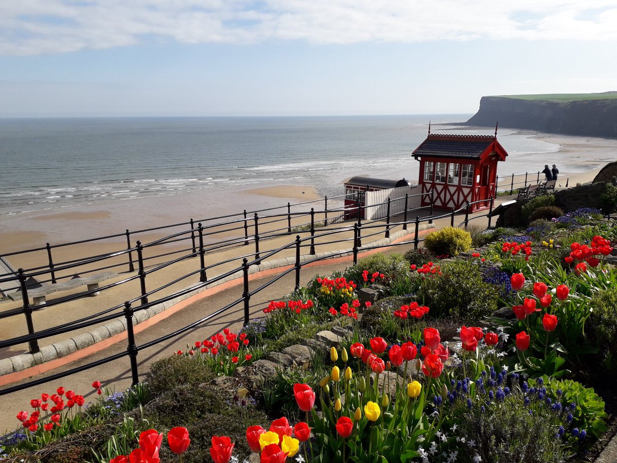 gardenoracle's tweet image. Been visiting our daughter in Saltburn, what a lovely weekend, and such a beautiful place.