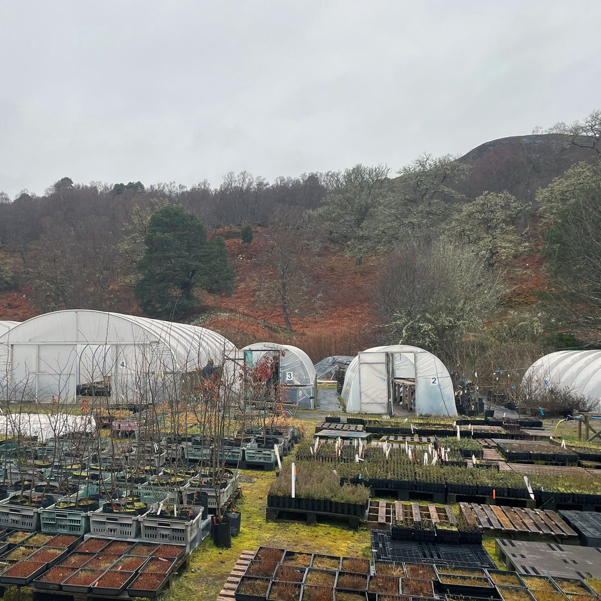 SPEY was on the ground for the media preview at the world's first rewilding centre. Visitors to @VisitDundreggan in Glenmoriston can now explore the 10,000-acre estate, where charity @treesforlifeuk is revitalising the Caledonian forest.