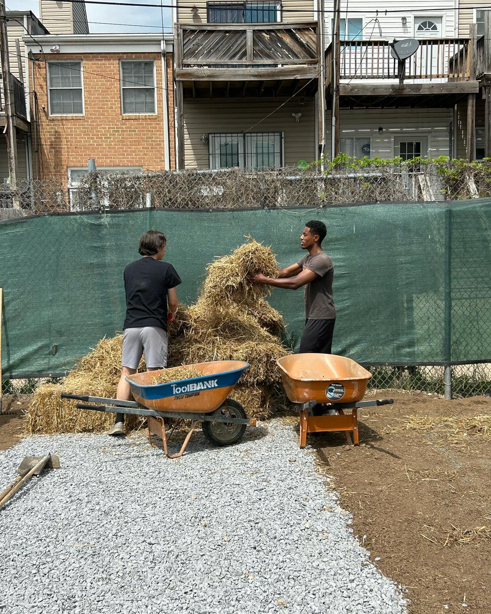 HabitatChes's tweet photo. Thank you to @northropgrumman and all of our community partners for coming together to start building a community garden at Ward Street in #Pigtown! 🌷

We are so excited to unveil several homes next to this garden THIS FRIDAY at our #HomeDedication! 

#Baltimore #Volunteers https://t.co/zHVQaV6SKw