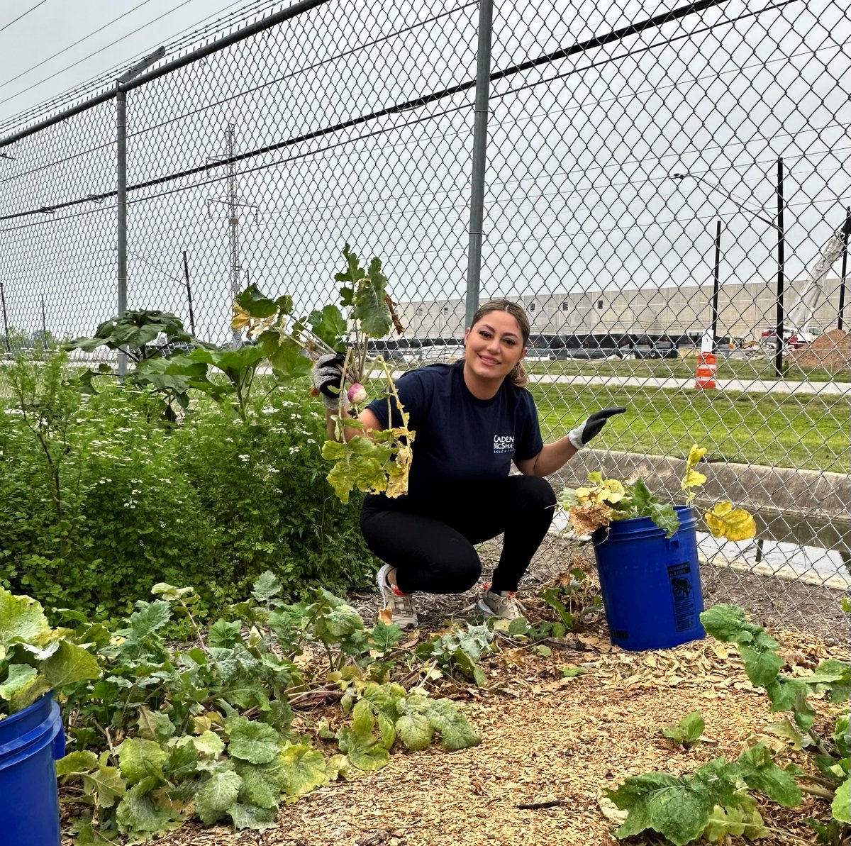 Last week, the San Antonio team had the pleasure of volunteering at the San Antonio Food Bank, where we planted, picked, and washed vegetables that will be distributed to the community. Thank you for having us! #OneCMC #WeBuildHereWeServeHere #FightingHungerFeedingHope
