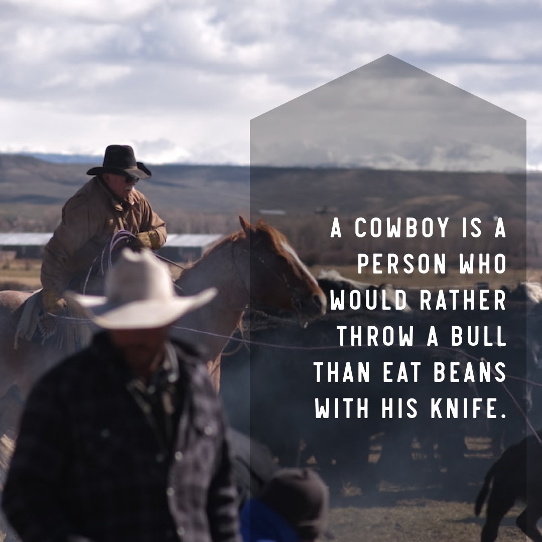 Ain't no cowboy that would pick beans over bull-riding! 🤠🐂🍛 #cowboyway #westernlife