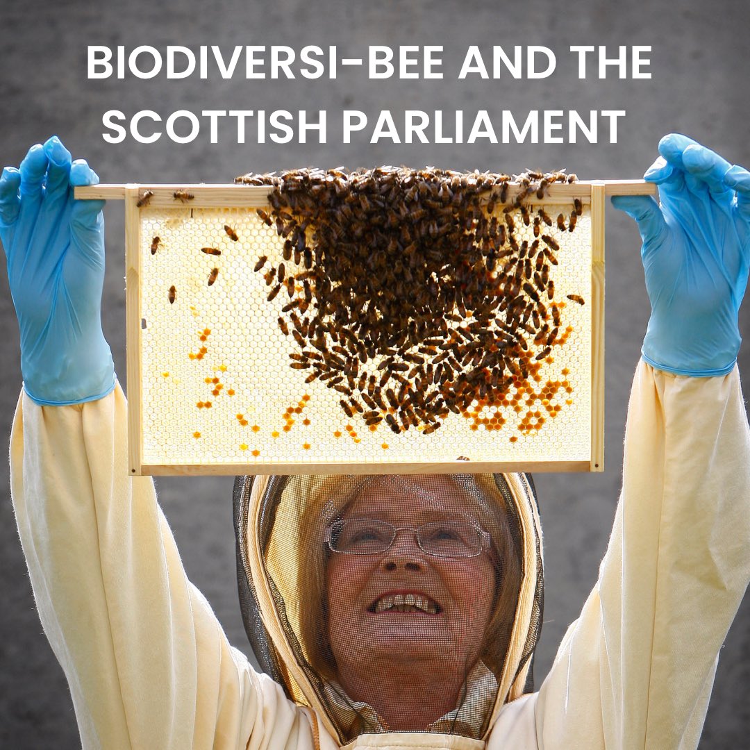 There’s a buzz around the Scottish parliament – and it’s not because of the new First Minister...🐝🐝🐝

Link below to read the full article. 

surgemag.org/biodiversi-bee…