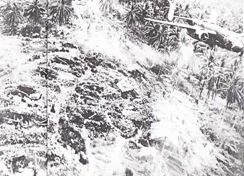 Panzコバやん(復活！本アカ) tweet media