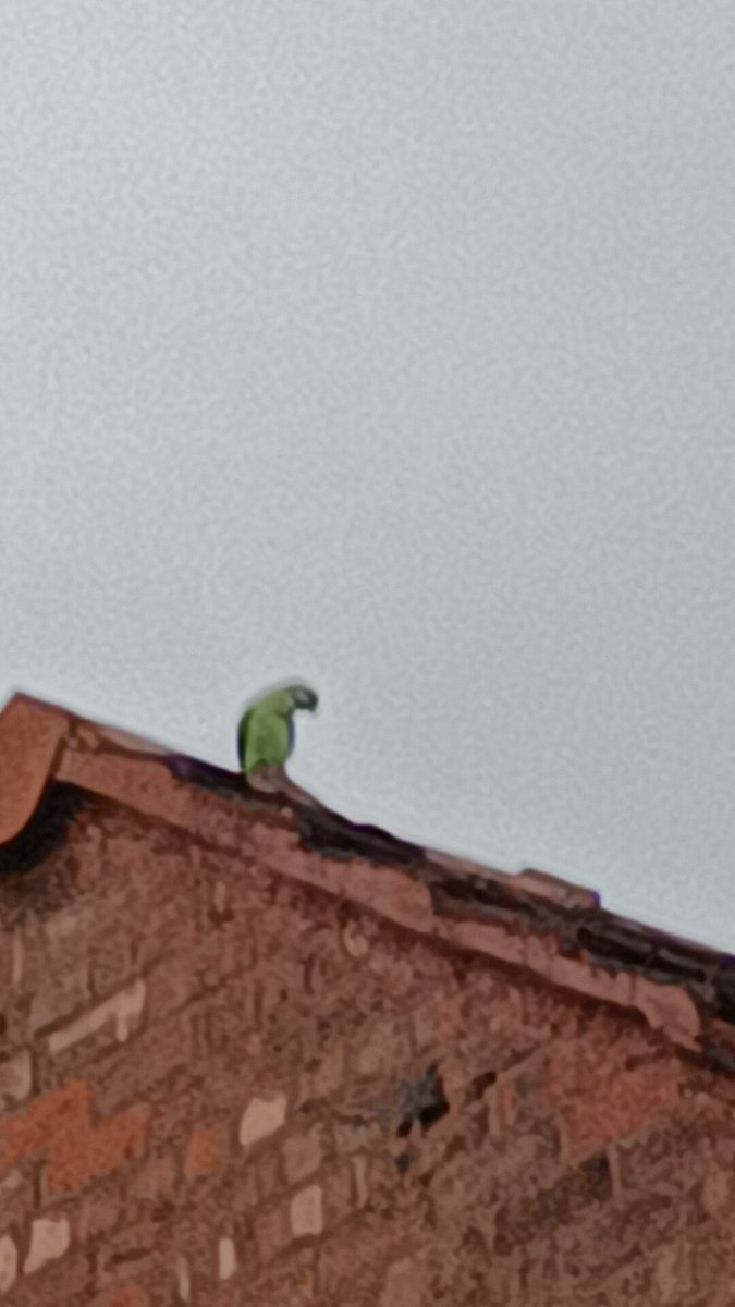 Secret Sand Land tweet media