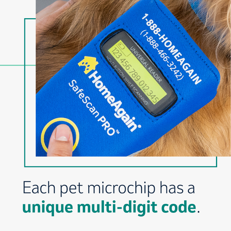 MerckAH's tweet photo. It’s #PetIDWeek! Do you know the benefits of getting your pet microchipped? 🐾
When you register your pet’s microchip, with services like @HAPetRescuer, you can make your pet’s microchip benefits and protection go even further! Click to learn more.