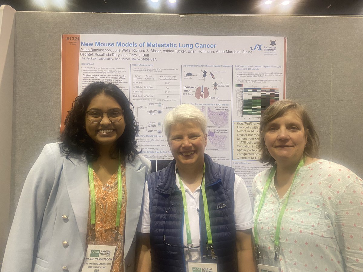 Postbacc fellow Paige Ramkissoon’s presentation on new models of metastatic lung cancer at her first major conference was a triumph! Congrats Paige! #AACR23 @JAXcancercenter @jacksonlab