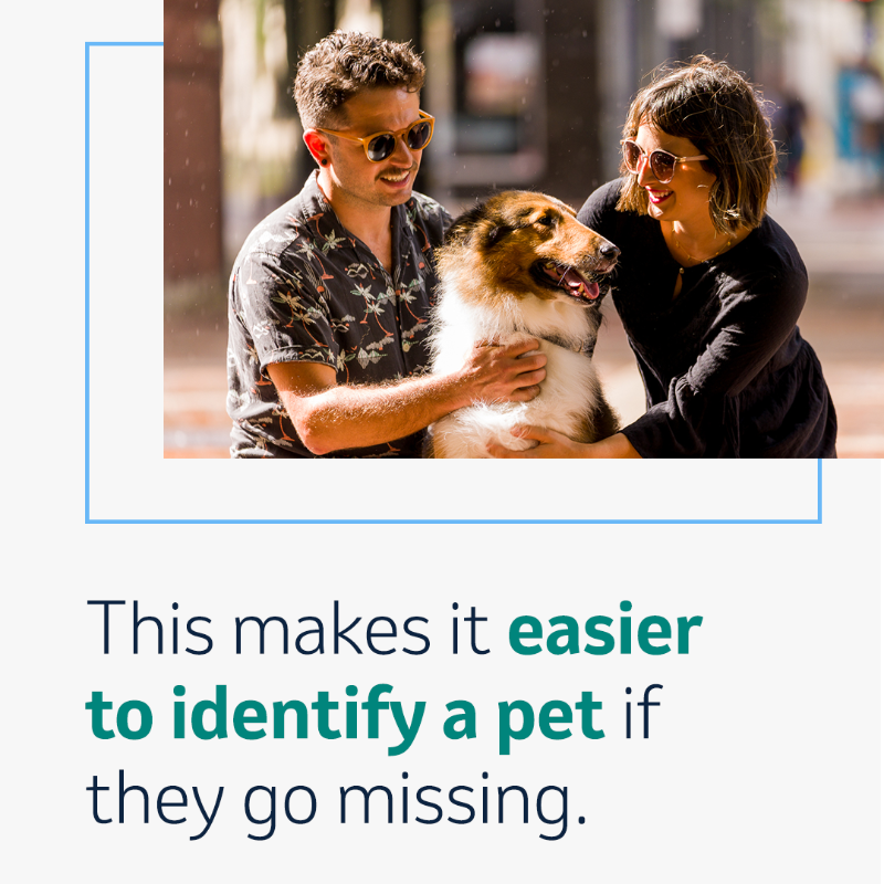 MerckAH's tweet photo. It’s #PetIDWeek! Do you know the benefits of getting your pet microchipped? 🐾
When you register your pet’s microchip, with services like @HAPetRescuer, you can make your pet’s microchip benefits and protection go even further! Click to learn more.