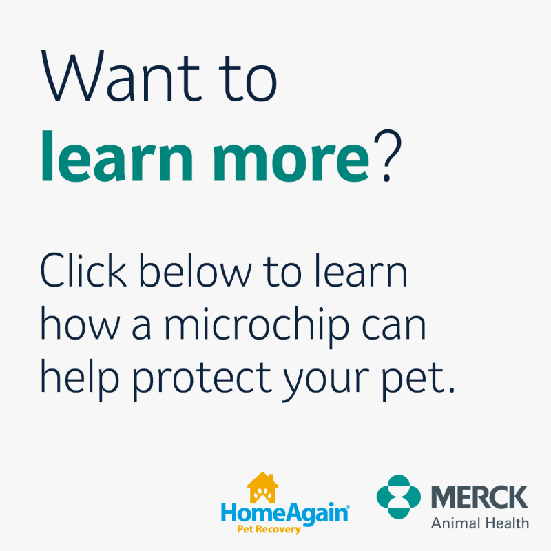 MerckAH's tweet photo. It’s #PetIDWeek! Do you know the benefits of getting your pet microchipped? 🐾
When you register your pet’s microchip, with services like @HAPetRescuer, you can make your pet’s microchip benefits and protection go even further! Click to learn more.