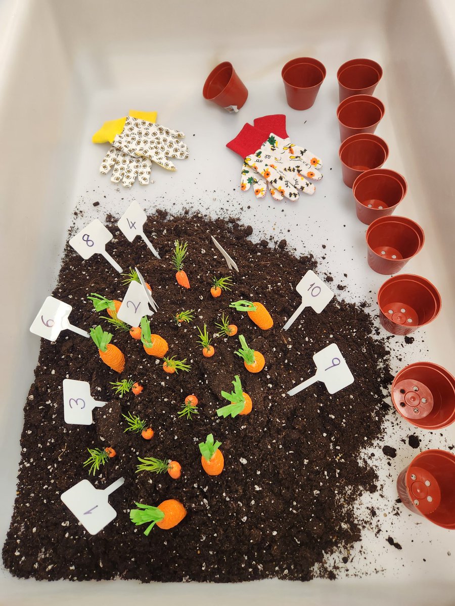 fgnazeda's tweet image. Planting learning in progress! 🌿☀️
@ShingwakonsPS @kmheckman4 @MmeGillian #kindergarten #springlearning #partsofplants #science #sensory