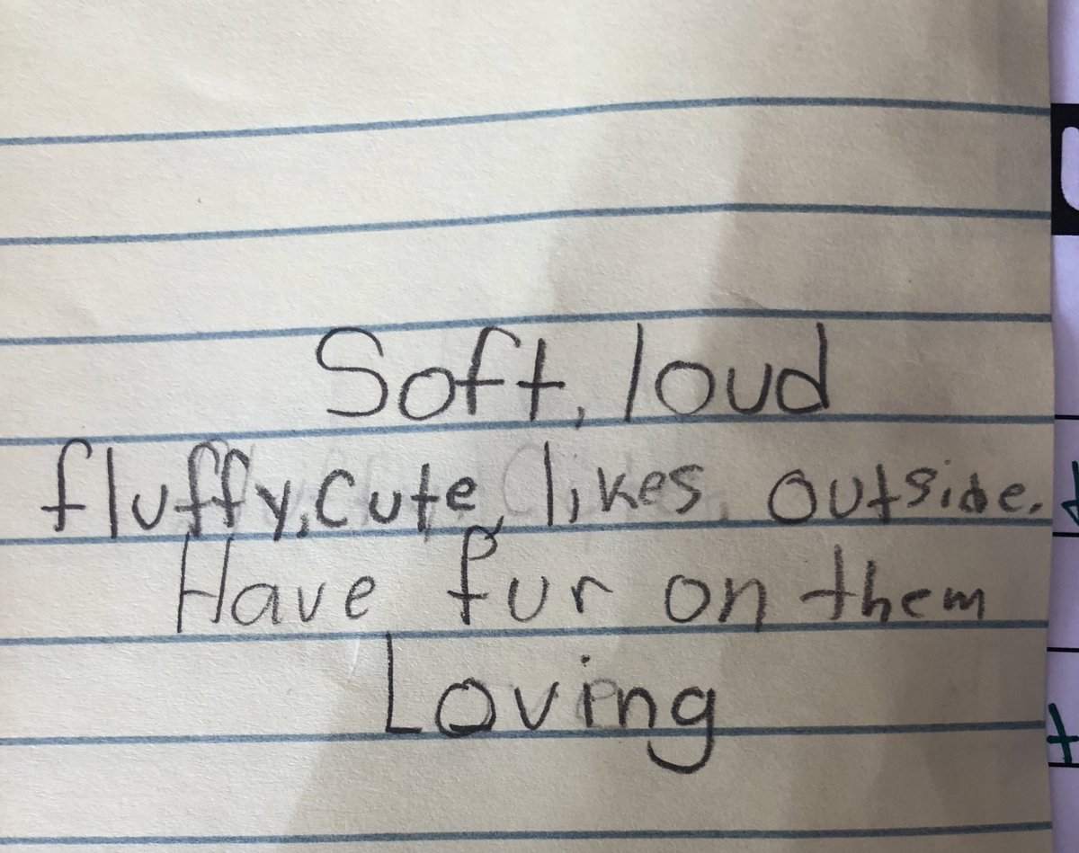MsBall17's tweet photo. We are learning about poetry and today we practiced our writing skills with cinquains! We created 1 based on our class novel “The Iron Trials” and then worked in pairs to create 1 about a mystery noun that our others had to guess. Can you guess what they are about? @HrceLiteracy https://t.co/QVo8mddn0c