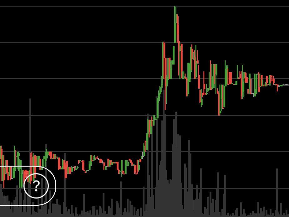 Turtle Tee Tradez tweet media