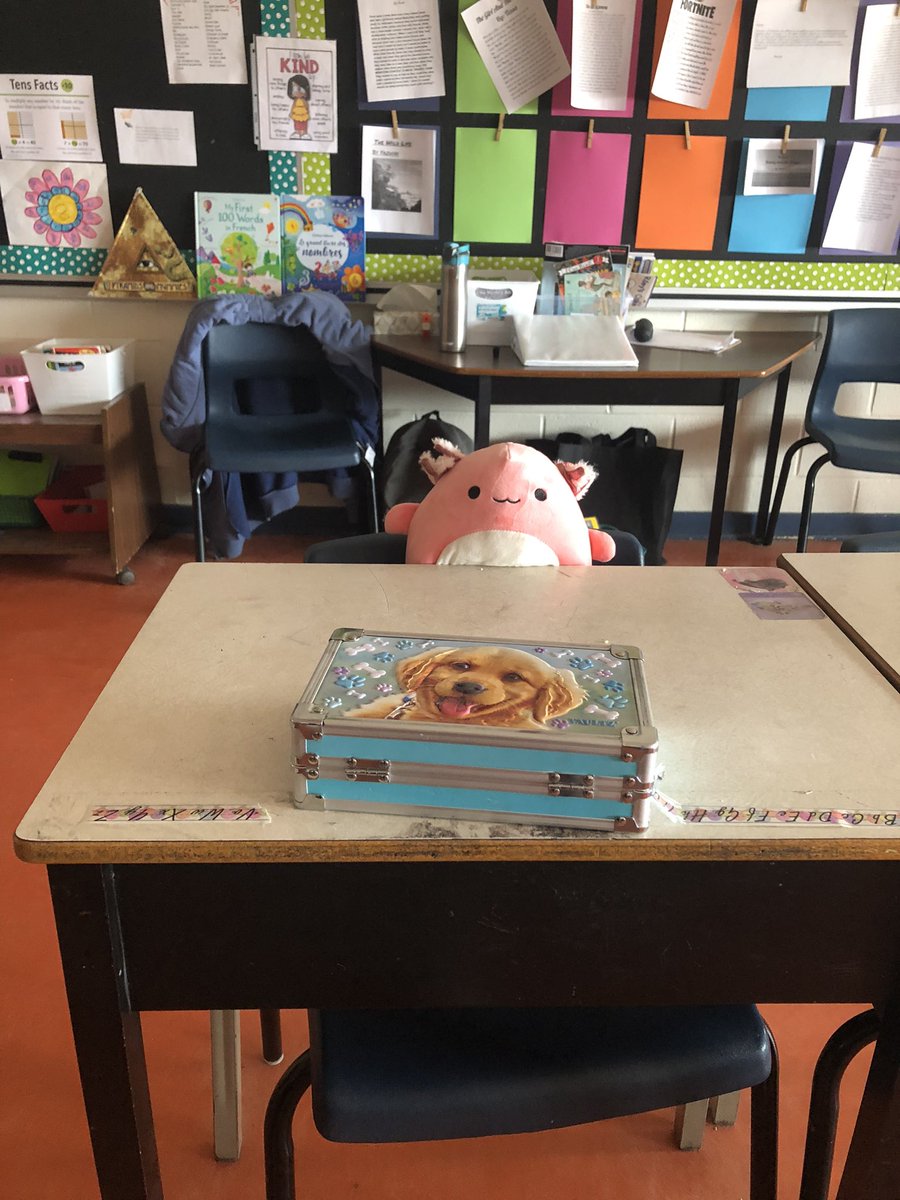 MsBall17's tweet photo. Check out the cute new student who joined my class today 😉 https://t.co/c9FJgZ1q7h