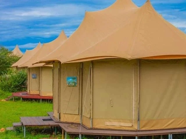 ZaraTours's tweet photo. Best Of Tanzania #Safari Tours Inside Serengeti WildeBeest Camp in the middle of @SerengetiParkTz 

Safari Tours Packages Available @ZaraTours
https://t.co/wT0dtlUUik 

Prices are very much affordable.
Book Now:
📧 zara@zaratours.com 
🐃🦒🐘🦁🦏🦓🐆
#ToursToGo #Tanzania #tourism https://t.co/9InFH7r5KG