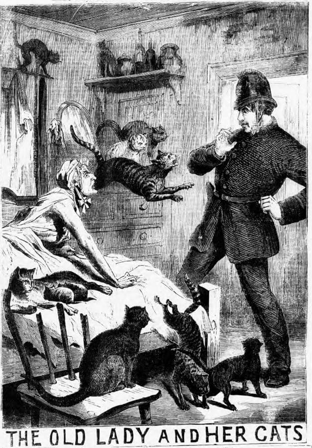 Parchment Sword Stone 📜🗡🪨 tweet media