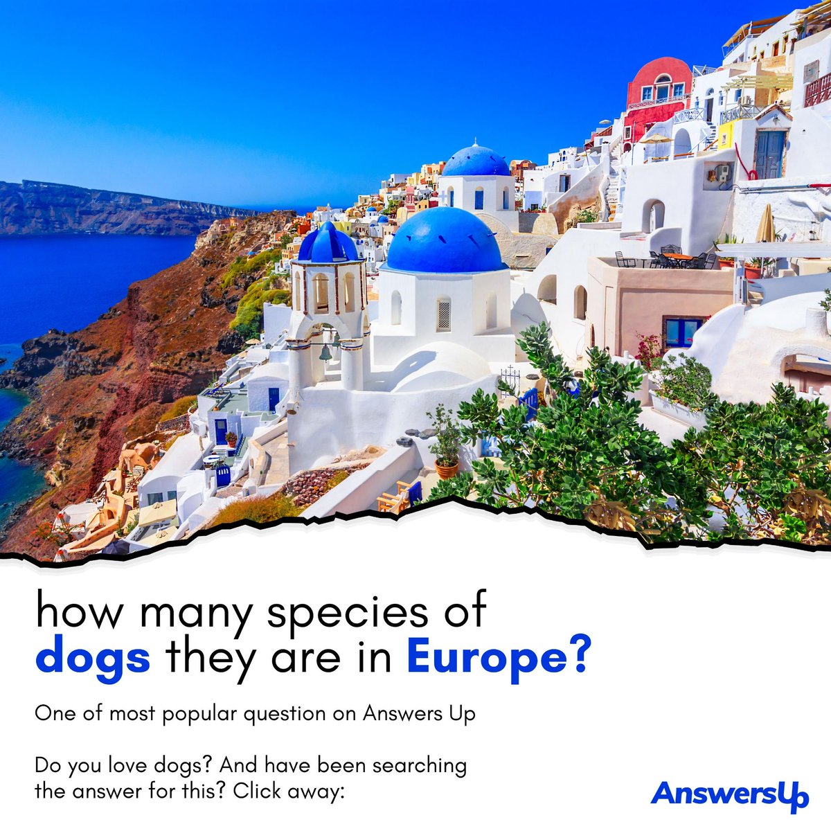 AnswersUp's tweet photo. how many species of dogs they are in Europe? 

One of most popular question on Answers Up Do you love dogs?

And have been searching the answer for this? 

Click away: https://t.co/FiW1gLmxUB  and find the perfect answer for this.
.
#Answerup #dogs #dog #doglovers #puppies https://t.co/b1Ik0UNSFI