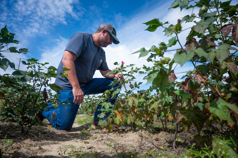 “We’re at a point of change, and I think that regenerative practices are the spearpoint.” #regenerativeagriculture #biostimulants magazine.cals.ncsu.edu/agricultures-p…