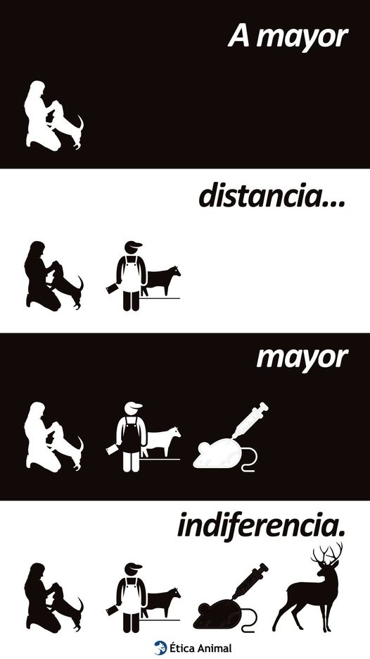 A mucha gente le resulta intuitivo que algunos animales son más especiales que otros. Esto justificaría la distinción moral entre los que clasificamos como especiales y los demás seres sintientes.

Es una forma de especismo, basada en nuestra intuición y nuestras preferencias.