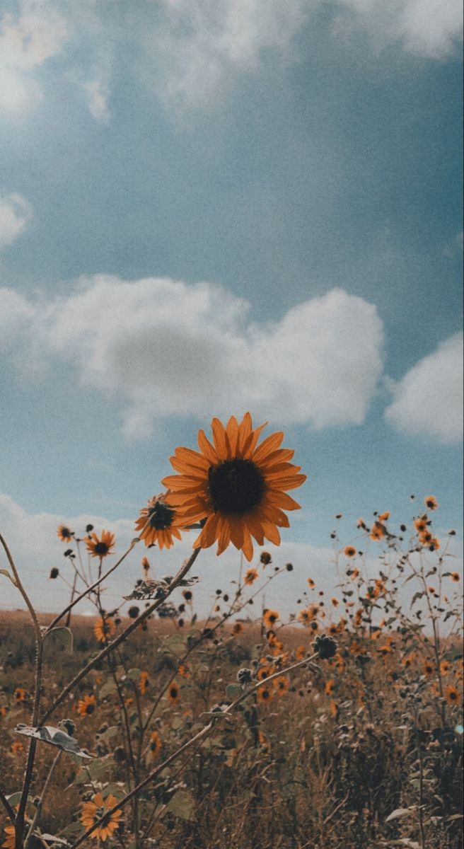 Buenas tardes🌞
<a href="/Jade9807F/">Jade</a>
<a href="/ArelisS78/">Arelis</a>
<a href="/Daymars2003/">Daymar</a>
<a href="/Magdalenac1965/">Magdalena</a>
<a href="/Oswaldito2023/">Oswaldito</a>

#ConMaduroMásRevolución