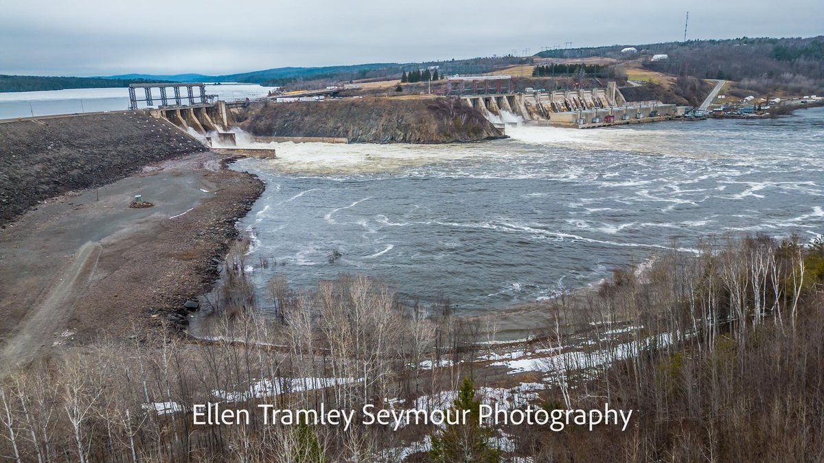 Ellen Tramley Seymour tweet media