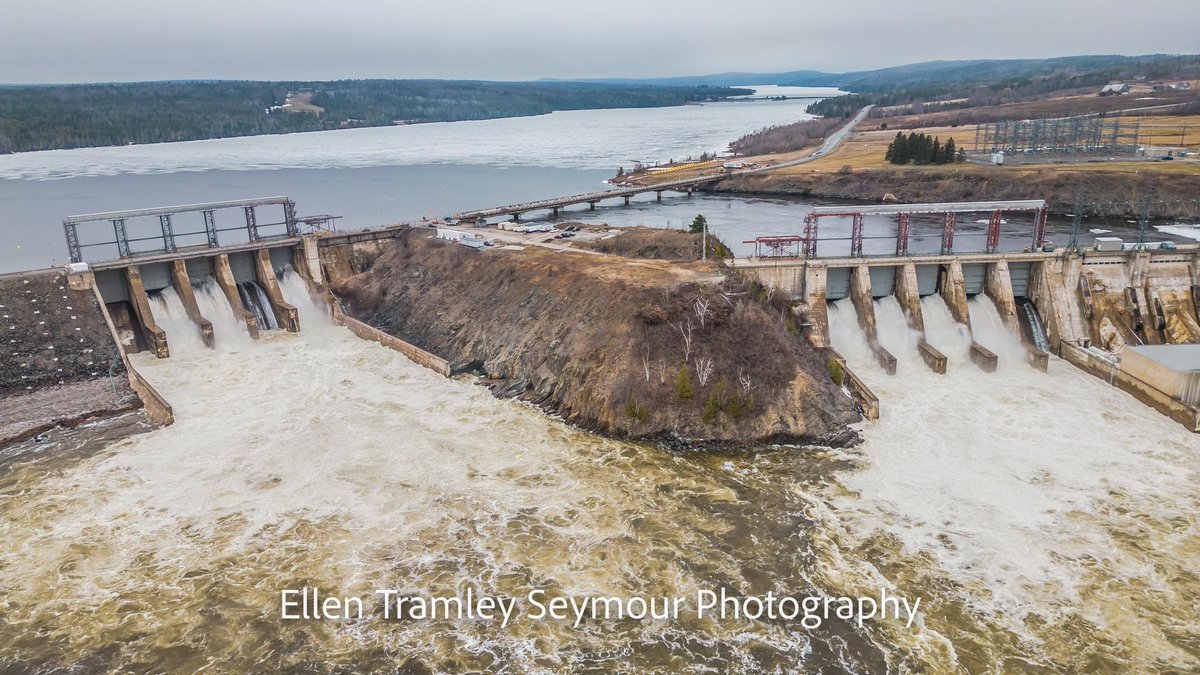 Ellen Tramley Seymour tweet media