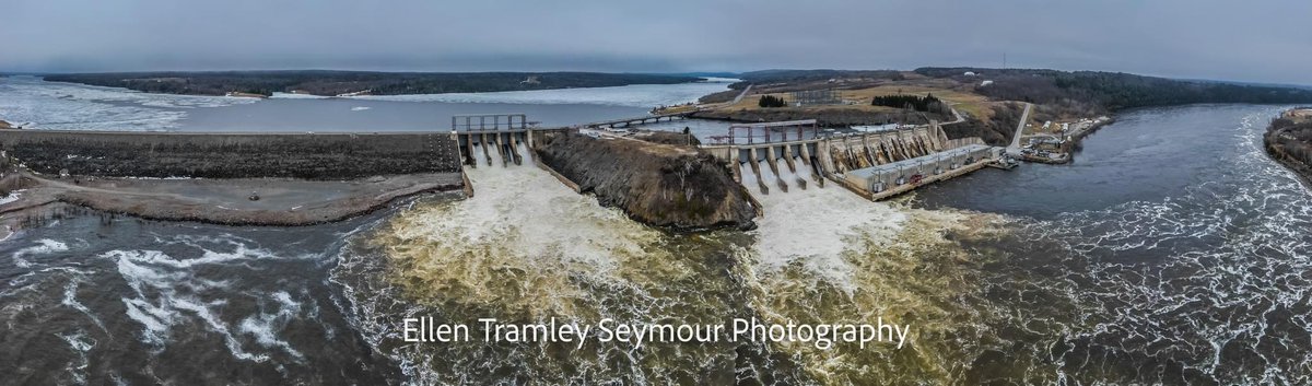 Ellen Tramley Seymour tweet media