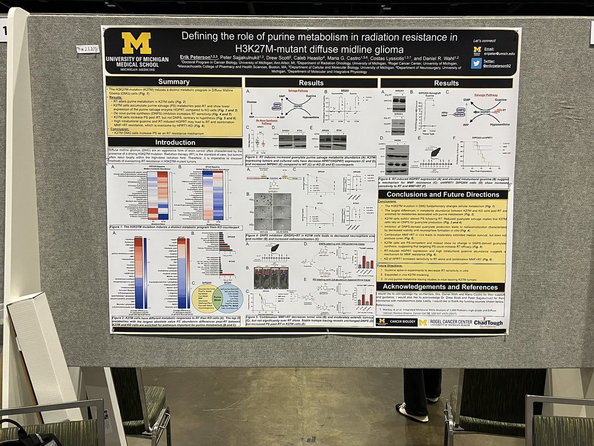 Off and running at my #AACR23 poster session! Come learn about purine metabolism and radiation resistance in H3K27M mutant DMG! @UMRogelCancer @UmichCancBio @UMichRadOnc