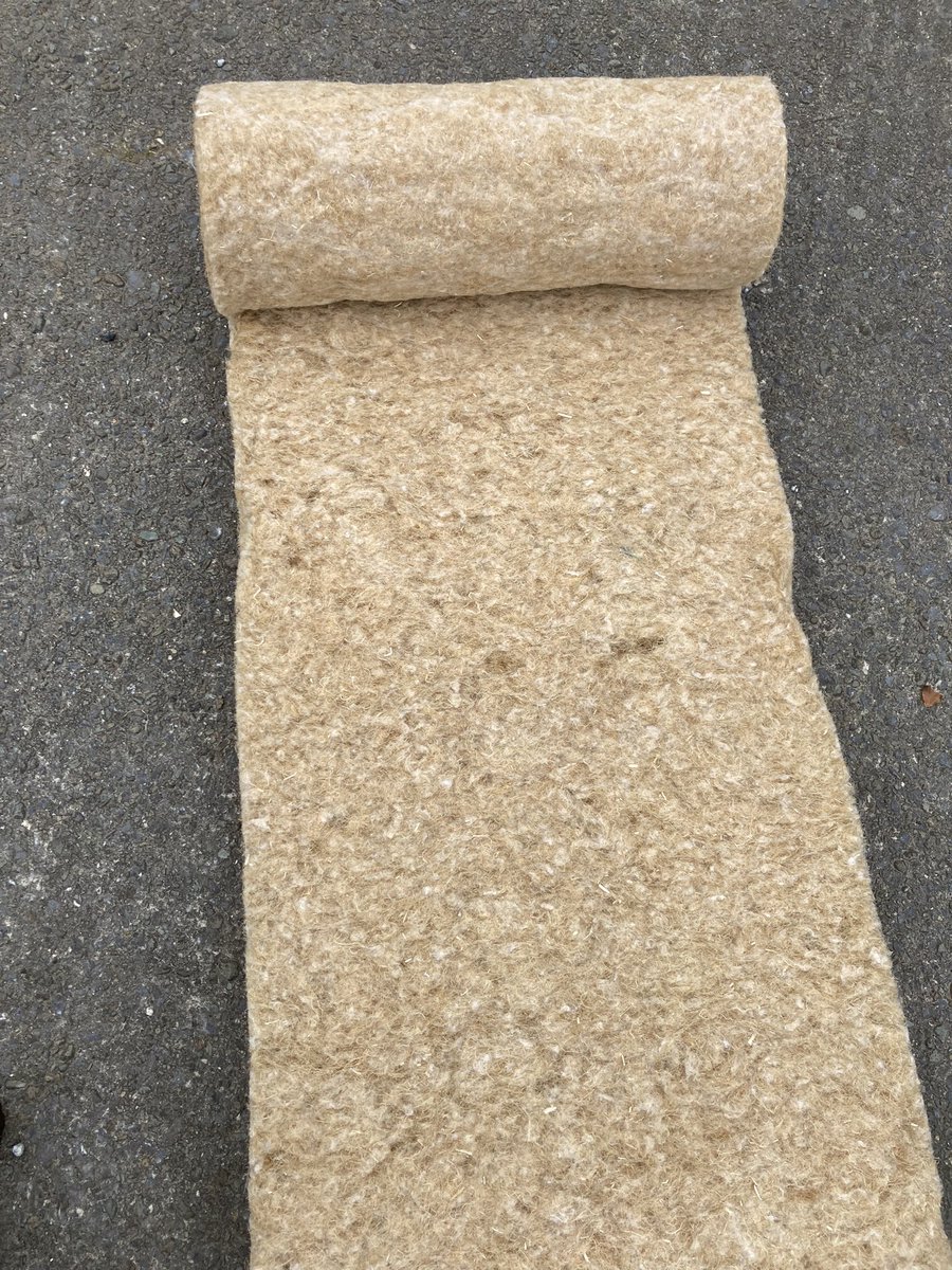 Kate Carmody tweet media