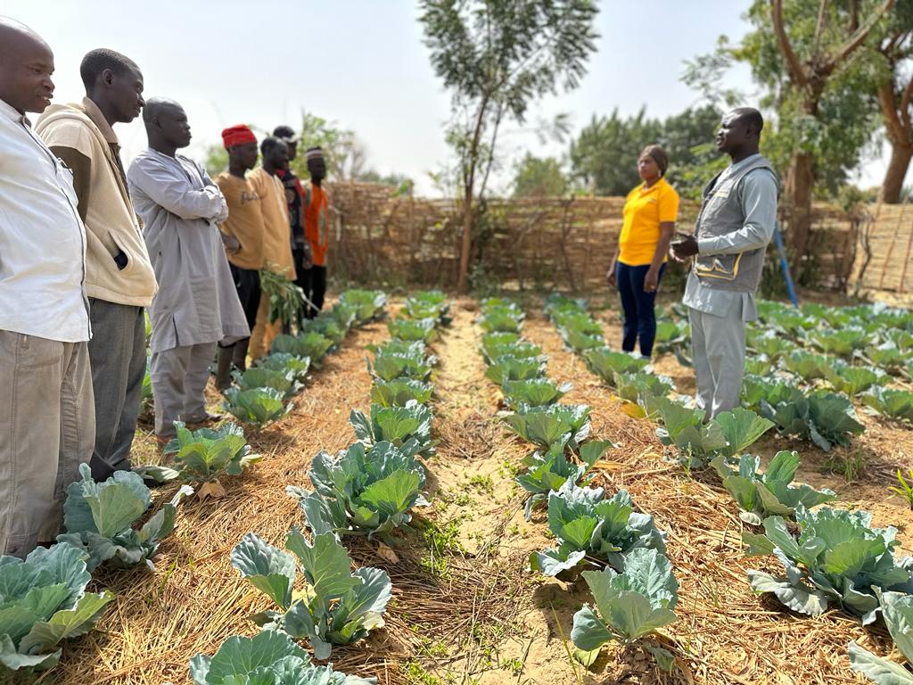 Solidaridad_wa's tweet photo. To ensure that smallholder #fruits & #vegetable farmers benefit from expert advisory services on #soilmanagement amongst others, @Solidaridad_wa has initiated 11 Farmer Field & Business schools in the Kano & Kaduna states of Nigeria under #SDGP which is funded by @NLNetherlands. https://t.co/AHj9weWklv
