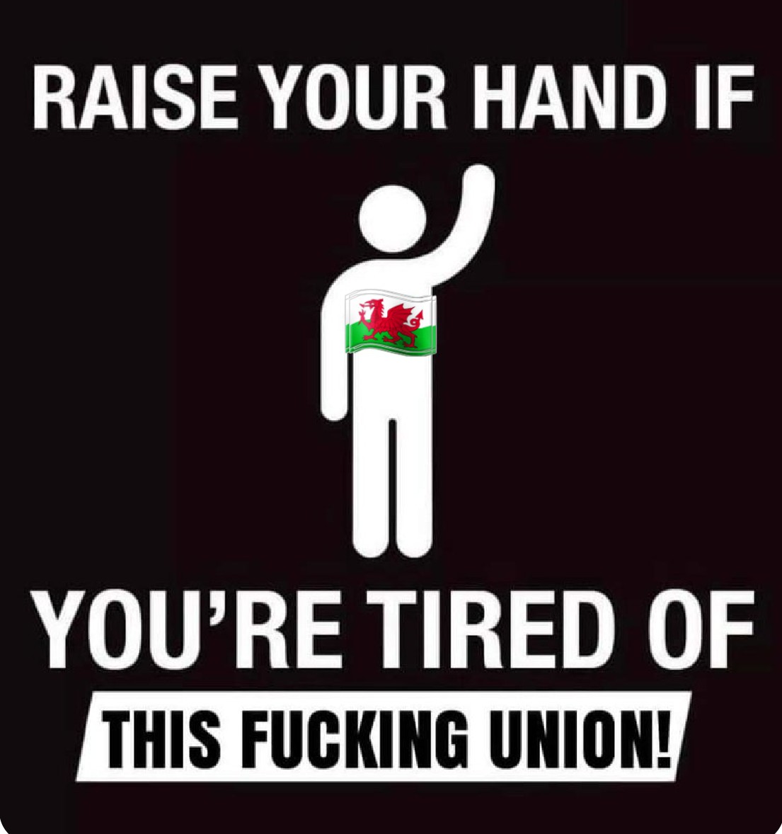 JonnyValleyBoy's tweet photo. Had enough yet?

#IndyWales https://t.co/sU9d1bmYhJ