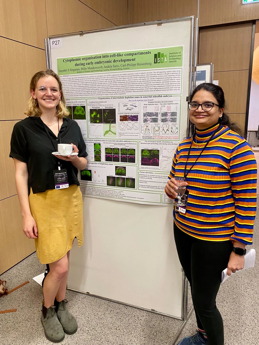 Billie Meadowcroft (@billiemeadowcr1) on Twitter photo #SpindleCroatia2023: fascinating conference topic (I'm learning a lot) in BEAUTIFUL Dubrovnik. <a href="/GayaSingaraju/">Gayathri Singaraju</a> and I have had some cool discussions at our joint poster on cytoplasmic division of zebrafish embryos with <a href="/HeisenbergCPLab/">Heisenberg Lab</a> & <a href="/SaricLab/">Andela Saric</a> 🏖️👩🔬 #SpindleCroatia2023: fascinating conference topic (I'm learning a lot) in BEAUTIFUL Dubrovnik. <a href="/GayaSingaraju/">Gayathri Singaraju</a> and I have had some cool discussions at our joint poster on cytoplasmic division of zebrafish embryos with <a href="/HeisenbergCPLab/">Heisenberg Lab</a> & <a href="/SaricLab/">Andela Saric</a> 🏖️👩🔬