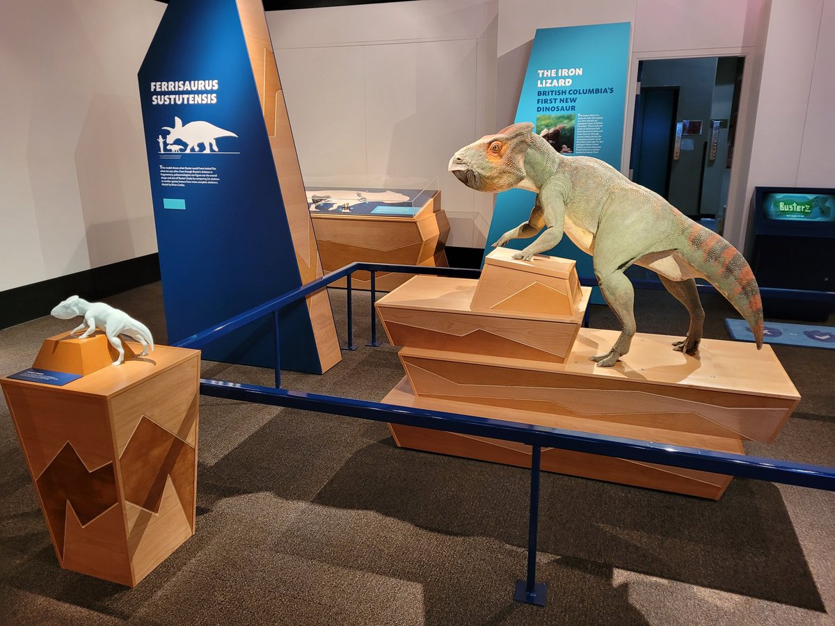 VictoriaArbour's tweet photo. It's here! Dinosaurs of BC is open!! Come say hi to my old pal Buster and find out more about the search for British Columbia's dinosaur fossils. #BCdinos #BCfossils https://t.co/x0XrHsxYIf