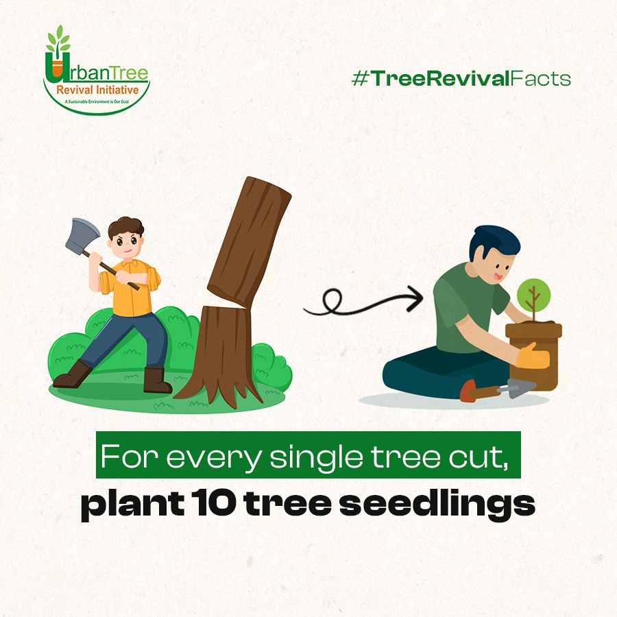 MercyOgunmolu's tweet photo. #treeRevivalFacts https://t.co/wEoxe2Qx3y