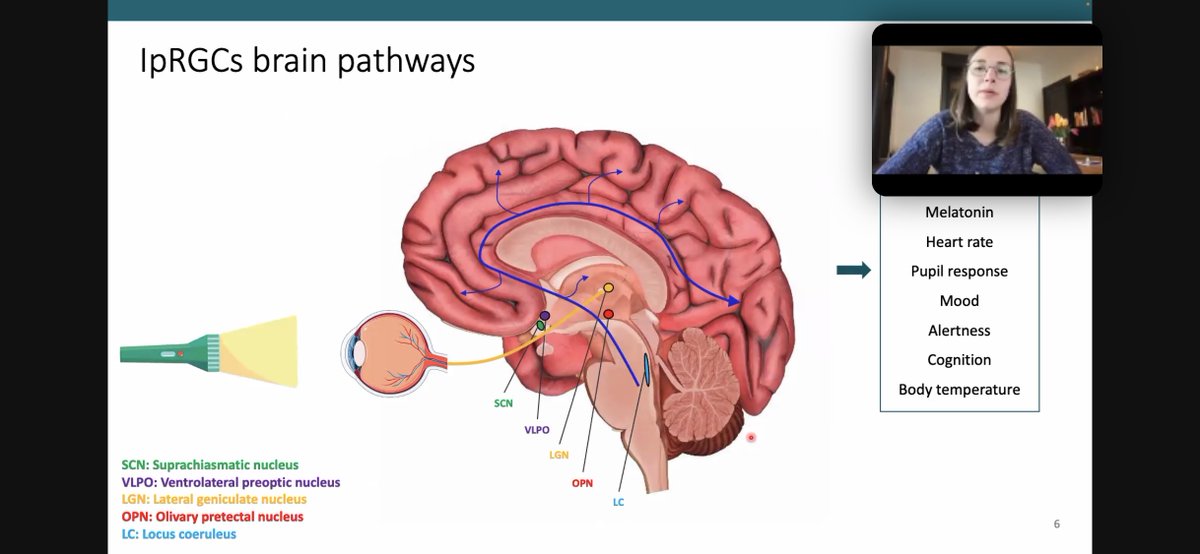 Great kick-off of the Tiny Dots series!🎉 We want to thank <a href="/elise_beckers/">Elise Beckers</a> for her excellent talk and all the attendants for engaging in an exciting discussion! 📅 For all those NSS lovers, don't forget to register for our next session on LC MRI on June 12: alz-org.zoom.us/meeting/regist…