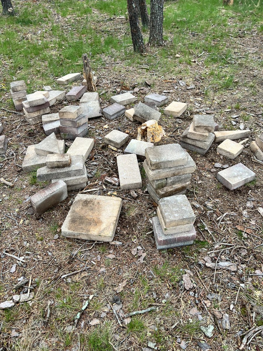 Morgan Saeler tweet media