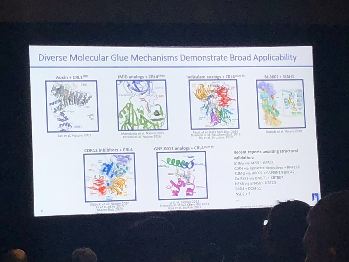 Ingo Hartung (@hartungingo) on Twitter photo More fireworks after 6 pm at #AACR23: #CICR townhall with 3 awesome talks about molecular glue degraders. Michael Rapé (<a href="/RapeLab/">Rapé Lab</a>), Riccardo Sabatini (<a href="/OrionisBio/">Orionis Biosciences</a>) & Mary Matyskiela (<a href="/neomorphinc/">neomorphinc</a>). Chaired by Ben Ebert (<a href="/DFCI_ChemBio/">Dana-Farber Chemical Biology Program</a>). Glueing everybody to their seats. <a href="/AACR/">AACR</a> #TPD More fireworks after 6 pm at #AACR23: #CICR townhall with 3 awesome talks about molecular glue degraders. Michael Rapé (<a href="/RapeLab/">Rapé Lab</a>), Riccardo Sabatini (<a href="/OrionisBio/">Orionis Biosciences</a>) & Mary Matyskiela (<a href="/neomorphinc/">neomorphinc</a>). Chaired by Ben Ebert (<a href="/DFCI_ChemBio/">Dana-Farber Chemical Biology Program</a>). Glueing everybody to their seats. <a href="/AACR/">AACR</a> #TPD