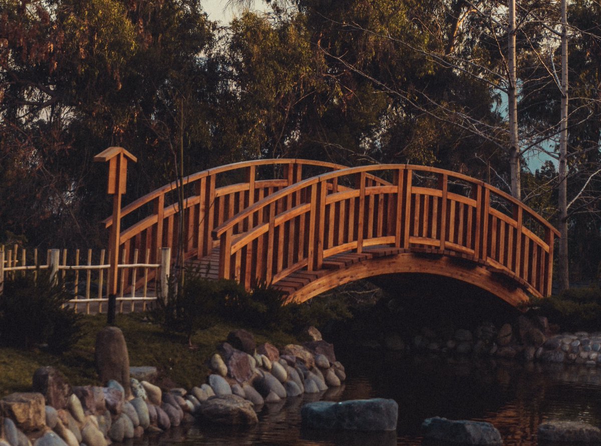 By continuing to have separate biology and sociocultural plenary sessions at eating disorders conferences, are we simply perpetuating a false dichotomy? It's an "AND" people, not an "OR"! We need less polarization and more integration &amp; collaboration!