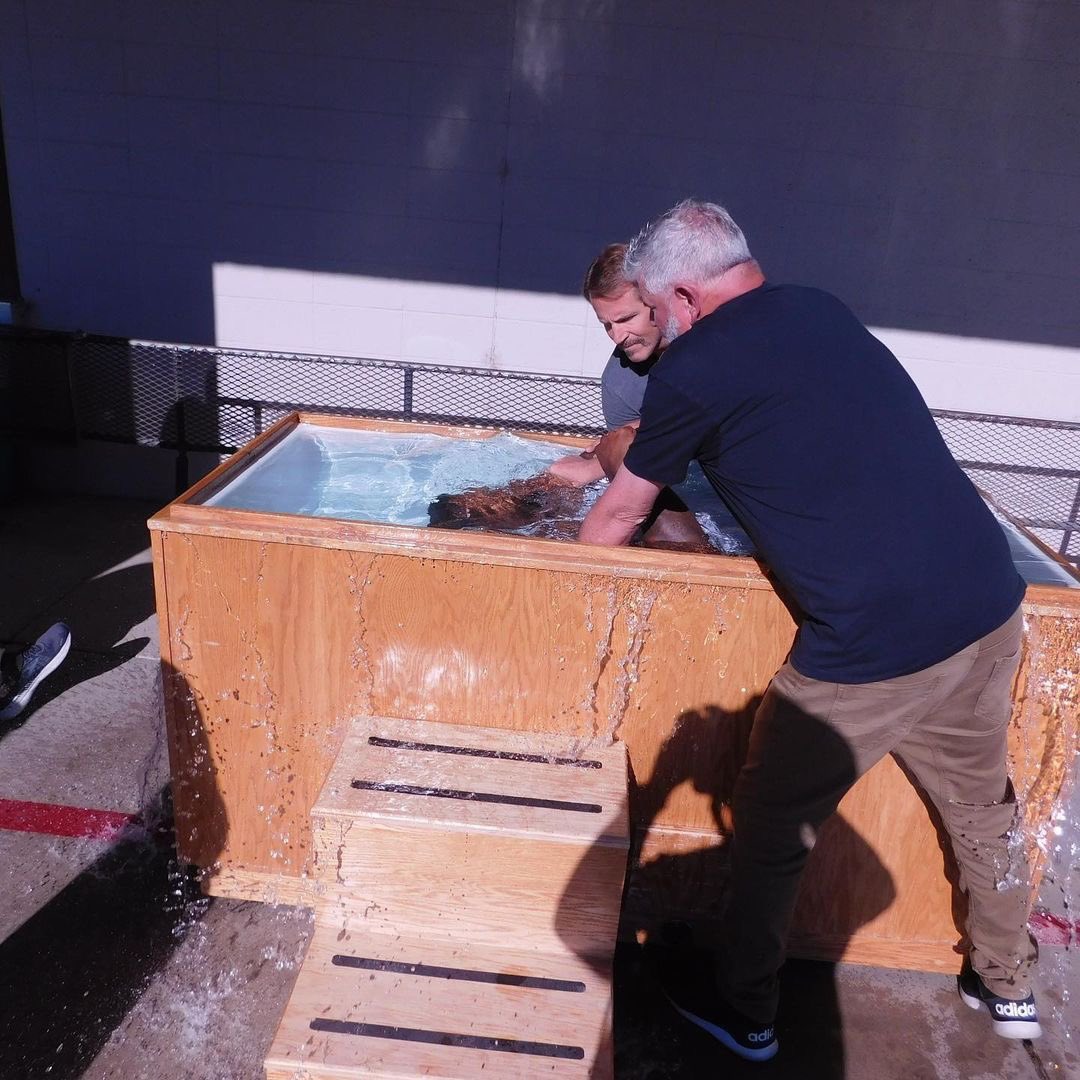 God Behind Bars tweet media