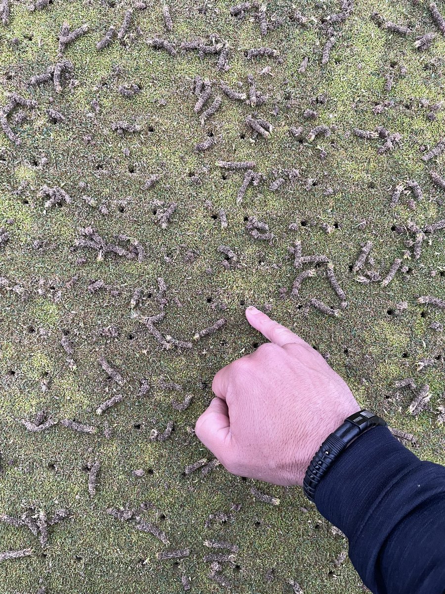 cschellerturf's tweet image. 1 of 5 ninja tine aerification on greens for 2023…. Double row on quad tine setup…. 3” setting done by 12:30