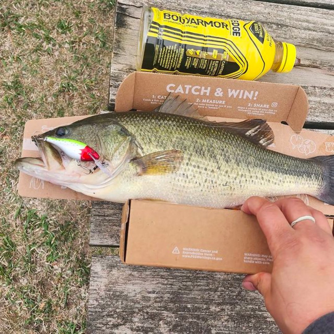MysteryTackleBx's tweet photo. This week's #MTBKEEPER winner is fosboy15! Tag us in your catches this week for your chance to win! Bonus free ad for @drinkbodyarmor you're welcome stay thirsty my friends. https://t.co/apR3f0QIwL