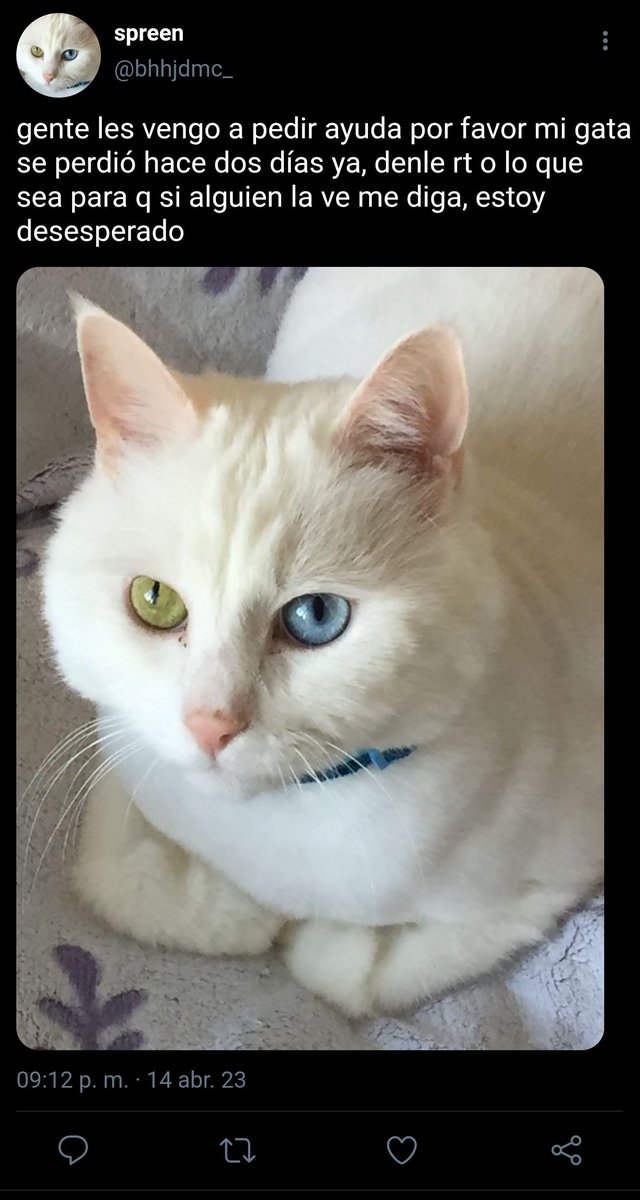 kaispruanista's tweet photo. spruan au
“EN BUSCA DE PELUSA”

donde el gatito de sprn se pierde y gracias a esto conoce a un tipo peculiar.
                #spruan #osocaballo https://t.co/kEz5HoZM89